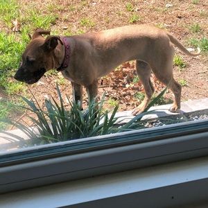 Meet your Posher, Bev